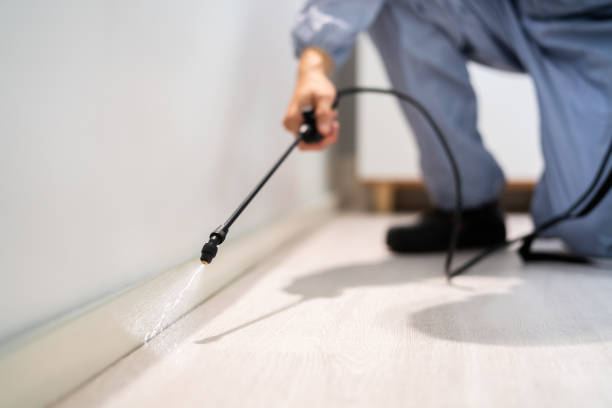 Licensed Pest Control service in Dumas, TX - Show Me Pest Control